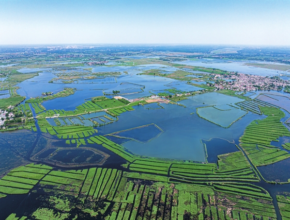 白洋淀.jpg